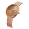 Minimalist Alloy Quartz Watch Wear Resistant For Female Gifts OEM Welcome